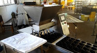 Cadena de producción de la torta del relleno del chocolate maquinaria de la industria alimentaria del equipo
